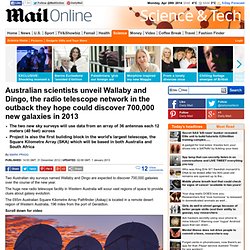 ASKAP: Australian Square Kilometre Array Pathfinder Telescope Sky Surveys Wallaby & Dingo