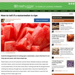 How to tell if a watermelon is ripe