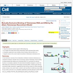 Mutually Exclusive Binding of Telomerase RNA and DNA by Ku Alters Telomerase Recruitment Model