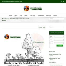 Nine Layers of the Edible Forest Garden (Food Forest)