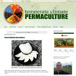 Temperate Climate Permaculture: Cheese