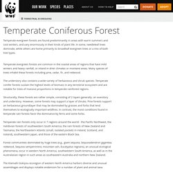 Temperate Coniferous Forest