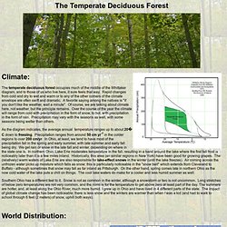 Temperate Deciduous Forest