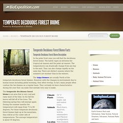 Temperate Deciduous Forest Biome