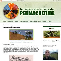 Permaculture Projects: Swales