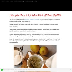 Temperature Controlled Water Kettle