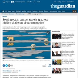 Soaring ocean temperature is 'greatest hidden challenge of our generation'