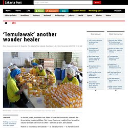 ‘Temulawak’ another wonder healer