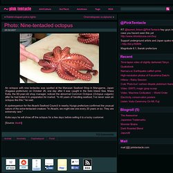 nine-tentacled octopus