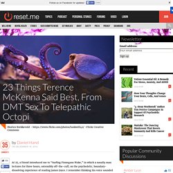 23 Things Terence McKenna Said Best, From DMT Sex To Telepathic Octopi