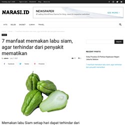 7 manfaat memakan labu siam, agar terhindar dari penyakit mematikan - Narasi.id