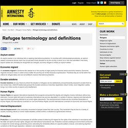 Amnesty Terminology