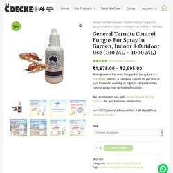Why Use Decke Termite Control Spray