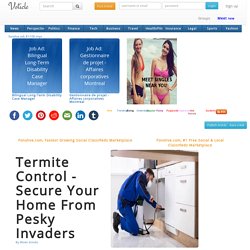Termite Control - Secure Your Home From Pesky Invaders