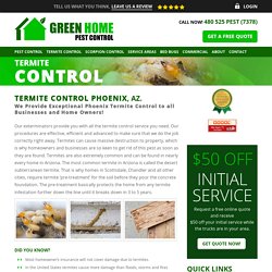 Termite Control Phoenix - #1 Rated