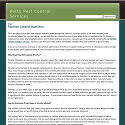 Termite Control Hamilton - Petty Pest Control Services