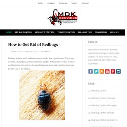 Termite, Bed Bug, Mosquito, Rodent, Pest Control, Traps