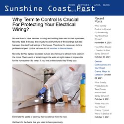 Why Termite Control Is Crucial For Protecting Your Electrical Wiring