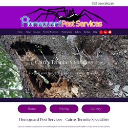 Termites - White ants - Pest control - insect control