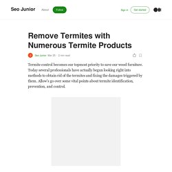 Remove Termites with Numerous Termite Products