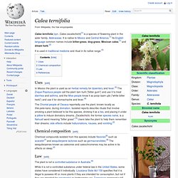 Calea ternifolia