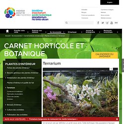 Le terrarium (Carnet horticole et botanique)
