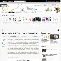 How to Build Your Own Terrarium