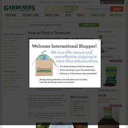 How to Plant a Terrarium, Terrariums, Indoor Gardening