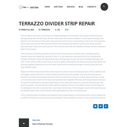 Terrazzo Divider Strip Repair - Tercon Systems
