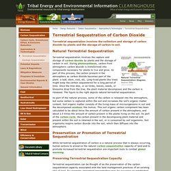 Terrestrial Sequestration of Carbon Dioxide