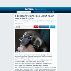 6 Terrifying Platypus Facts