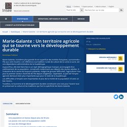 Marie-Galante : Un territoire agricole qui se tourne vers le développement durable - Insee Analyses Guadeloupe - 30