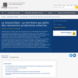 Le Grand Dijon : un territoire qui attire des ressources productives externes - Insee Analyses Bourgogne - 17