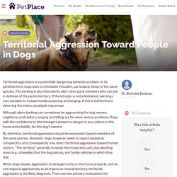 Territorial Aggression Toward People in Dogs - PetPlace