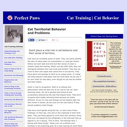 Territorial Behavior of Cats by Perfect Paws Cat Training