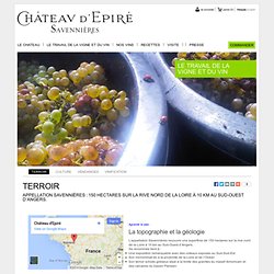 TERROIR - [Savennieres - Chateau d'Epire, vin blanc de Savennieres]