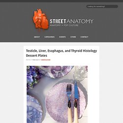 Testicle, Liver, Esophagus, and Thyroid Histology Dessert Plates at Street Anatomy