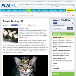 Animal Testing 101