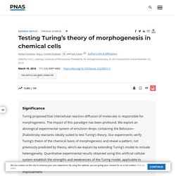 Testing Turing’s theory of morphogenesis in chemical cells