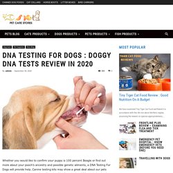 DNA Testing For Dogs : Doggy DNA Tests Review in 2020 - PetCareStores