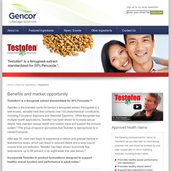 Testofen® - Gencor