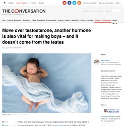Move over testosterone, another hormone is also vital for making boys – and it doesn't come from the testes
