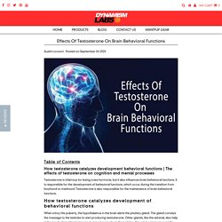 Effects Of Testosterone On Brain Behavioral Functions – Dynamism Labs
