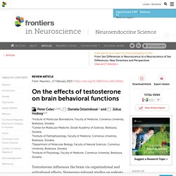 On the effects of testosterone on brain behavioral functions