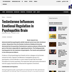 Testosterone Influences Emotional Regulation in Psychopathic Brain – Neuroscience News