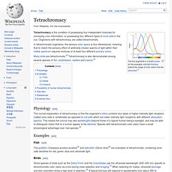 Tetrachromacy