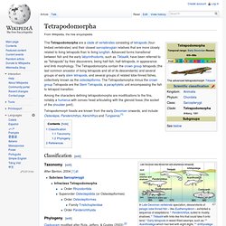 Tetrapodomorpha