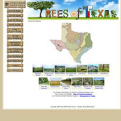 Texas A&M Forest Service - Trees of Texas - Eco-Regions