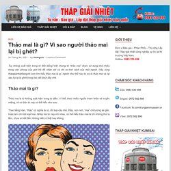 Thảo mai là gì? Vì sao người thảo mai lại bị ghét? - Liangchi