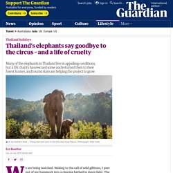 Thailand’s elephants say goodbye to the circus – and a life of cruelty